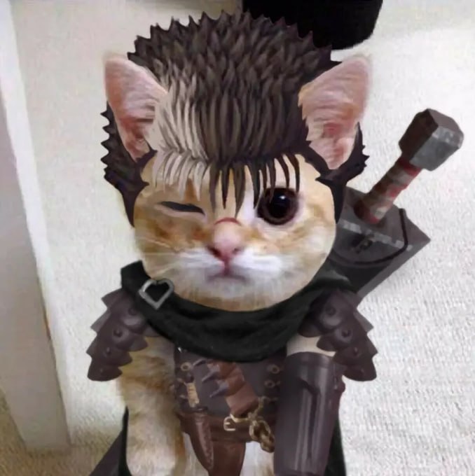 El Gato warrior